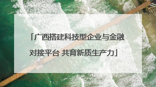广西搭建科技型企业与金融对接平台 共育新质生产力