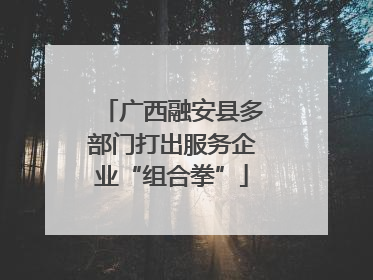 广西融安县多部门打出服务企业“组合拳”