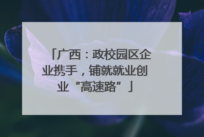 广西：政校园区企业携手，铺就就业创业“高速路”