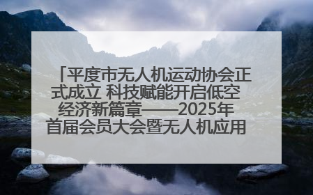 平度市无人机运动协会正式成立 科技赋能开启低空经济新篇章——2025年首届会员大会暨无人机应用发展论坛成功举办