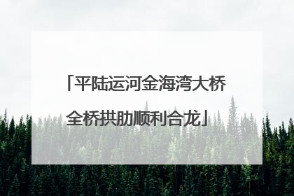 平陆运河金海湾大桥全桥拱肋顺利合龙