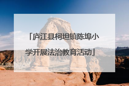 庐江县柯坦镇陈埠小学开展法治教育活动