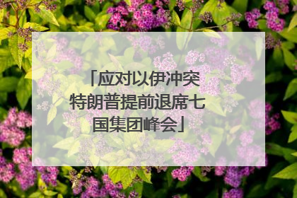 应对以伊冲突 特朗普提前退席七国集团峰会