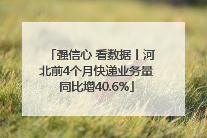 强信心 看数据丨河北前4个月快递业务量同比增40.6%