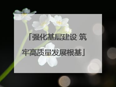 强化基层建设 筑牢高质量发展根基