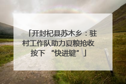 开封杞县苏木乡：驻村工作队助力夏粮抢收按下 “快进键”