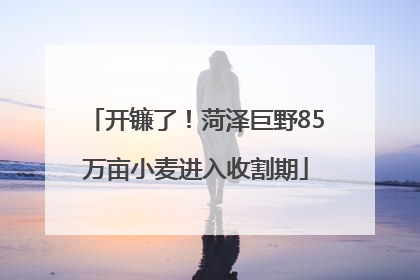 开镰了！菏泽巨野85万亩小麦进入收割期