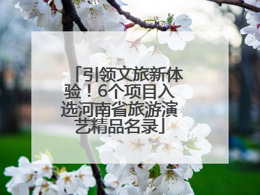 引领文旅新体验！6个项目入选河南省旅游演艺精品名录