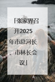 张家界召开2025年市总河长、市林长会议