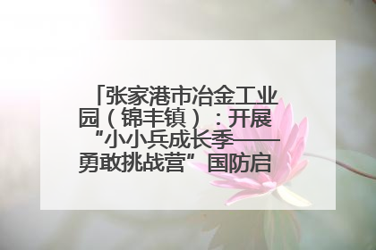 张家港市冶金工业园（锦丰镇）：开展“小小兵成长季——勇敢挑战营”国防启蒙教育活动