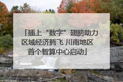 插上“数字”翅膀助力区域经济腾飞 川南地区首个智算中心启动