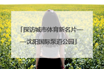 探访城市体育新名片——沈阳国际泵道公园