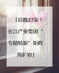 总数27家！长江产业集团“专精特新”矩阵再扩容