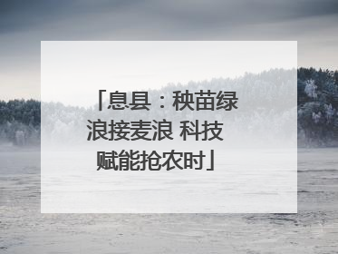 息县：秧苗绿浪接麦浪 科技赋能抢农时