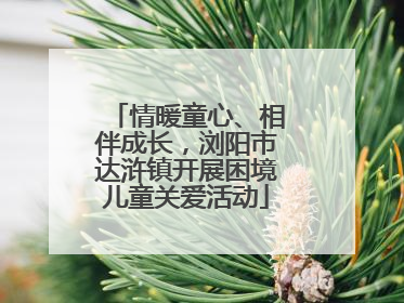 情暖童心、相伴成长，浏阳市达浒镇开展困境儿童关爱活动
