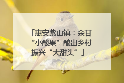 惠安紫山镇：余甘“小酸果”酿出乡村振兴“大甜头”