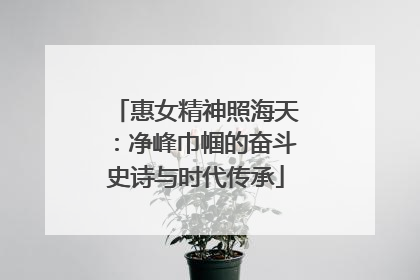 惠女精神照海天：净峰巾帼的奋斗史诗与时代传承