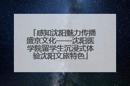 感知沈阳魅力传播盛京文化——沈阳医学院留学生沉浸式体验沈阳文旅特色