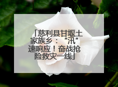 慈利县甘堰土家族乡：“汛”速响应！奋战抢险救灾一线