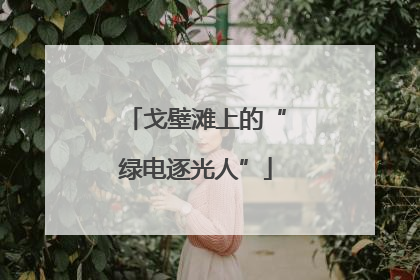 戈壁滩上的“绿电逐光人”