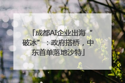 成都AI企业出海“破冰”：政府搭桥，中东首单落地沙特
