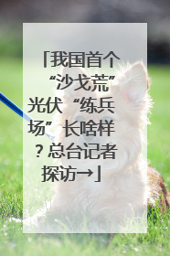 我国首个“沙戈荒”光伏“练兵场”长啥样？总台记者探访→