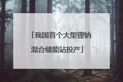 我国首个大型锂钠混合储能站投产