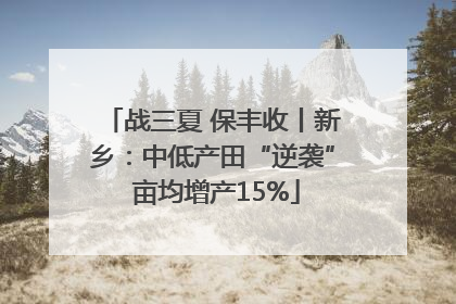 战三夏 保丰收丨新乡：中低产田“逆袭” 亩均增产15%
