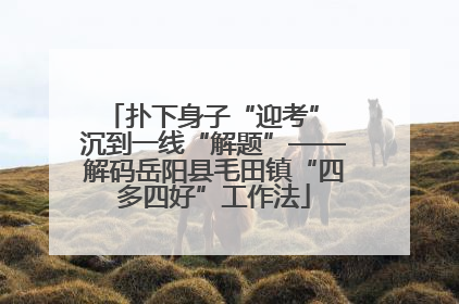 扑下身子“迎考” 沉到一线“解题”——解码岳阳县毛田镇“四多四好”工作法