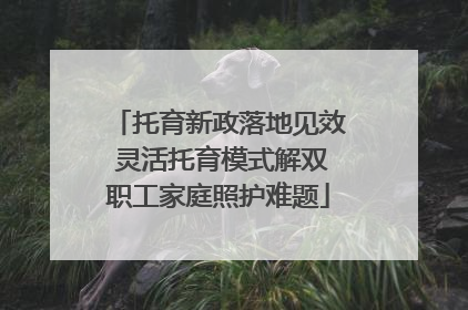 托育新政落地见效 灵活托育模式解双职工家庭照护难题