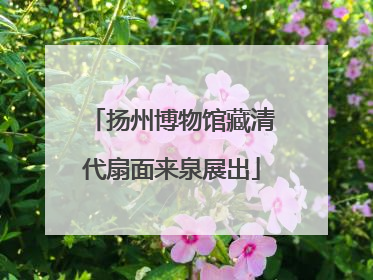 扬州博物馆藏清代扇面来泉展出