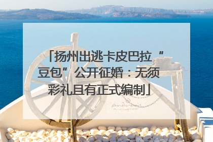 扬州出逃卡皮巴拉“豆包”公开征婚：无须彩礼且有正式编制