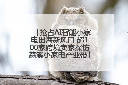 抢占AI智能小家电出海新风口 超100家跨境卖家探访慈溪小家电产业带