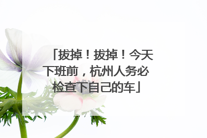 拔掉！拔掉！今天下班前，杭州人务必检查下自己的车