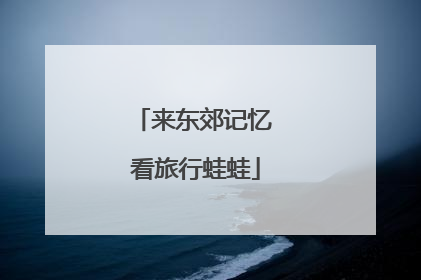 来东郊记忆 看旅行蛙蛙