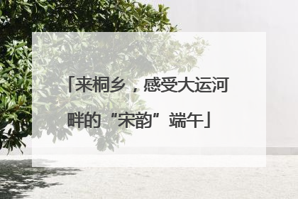 来桐乡，感受大运河畔的“宋韵”端午