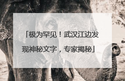极为罕见！武汉江边发现神秘文字，专家揭秘