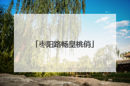 枣阳路畅皇桃俏