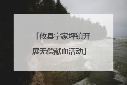 攸县宁家坪镇开展无偿献血活动