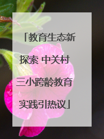 教育生态新探索 中关村三小跨龄教育实践引热议
