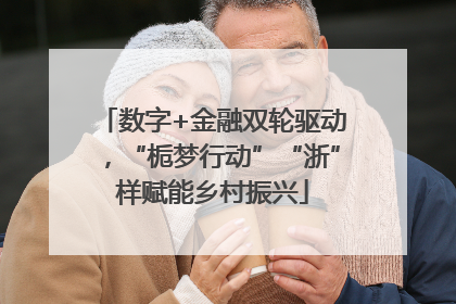 数字+金融双轮驱动，“栀梦行动”“浙”样赋能乡村振兴