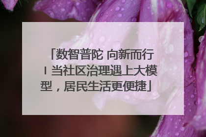 数智普陀 向新而行〡当社区治理遇上大模型，居民生活更便捷