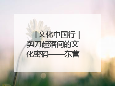 文化中国行｜剪刀起落间的文化密码——东营剪纸“剪”出非遗传承与现代生活的融合之道