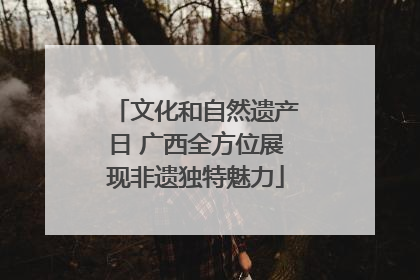 文化和自然遗产日 广西全方位展现非遗独特魅力