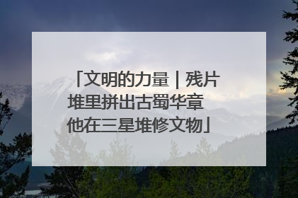 文明的力量｜残片堆里拼出古蜀华章 他在三星堆修文物