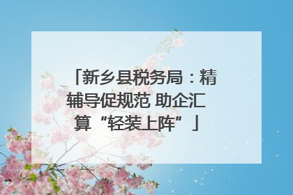 新乡县税务局：精辅导促规范 助企汇算“轻装上阵”