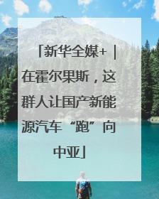 新华全媒+｜在霍尔果斯，这群人让国产新能源汽车“跑”向中亚