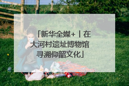 新华全媒+丨在大河村遗址博物馆寻溯仰韶文化