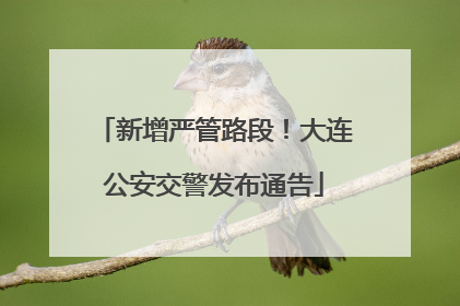 新增严管路段！大连公安交警发布通告