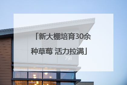 新大棚培育30余种草莓 活力拉满